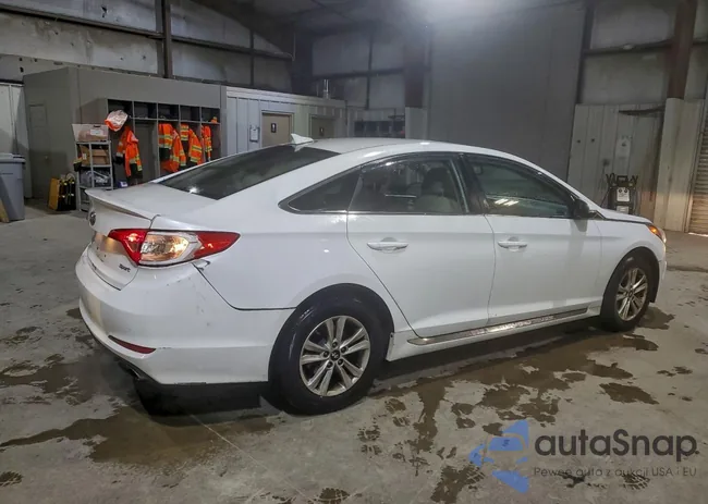 5NPE34AF9GH287813: 97520675