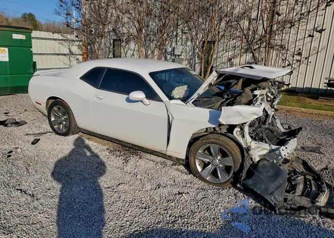 2C3CDZAG3KH711955: 96061445