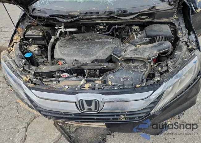 5FNRL6H58KB019367: 97646895