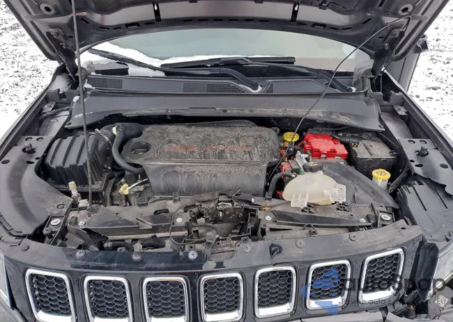 3C4NJDCB7MT550800: 97618645