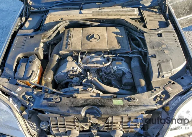 WDBGA70G3XA424258: 96984115