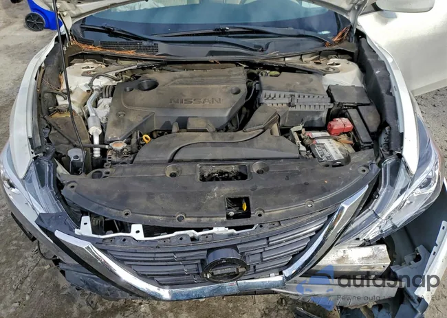 1N4AL3AP7GC261018: 96357875