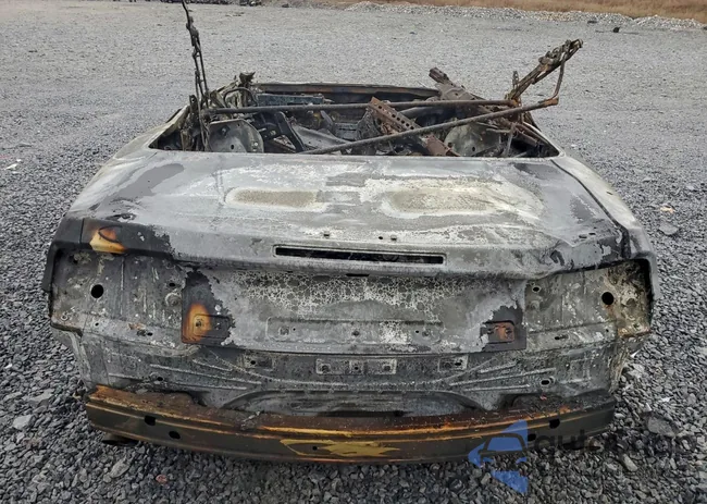 1FATP8EM4G5243431: 96672595