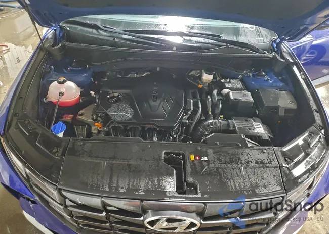 5NMJFCAE3NH091836: 98764785