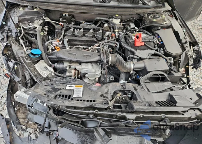 1HGCY1F31RA020960: 97123795