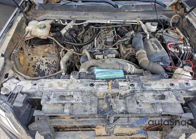 1GCPTDE1XK1176775: 97489695