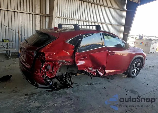 JTJGJRDZ2L5008095: 96239155