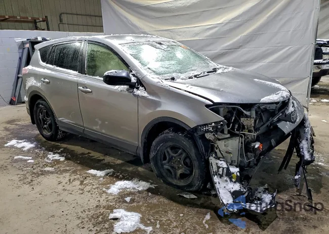 JTMBFREV8JJ201981: 97718875