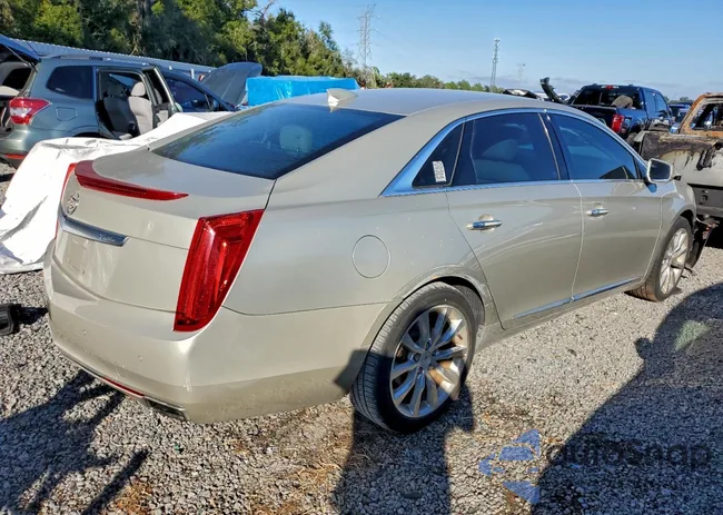 2G61M5S37F9291725: 96558815