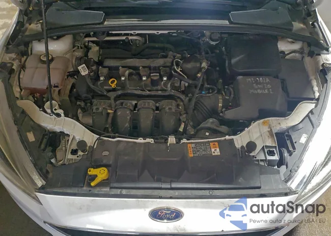 1FADP3K23FL375911: 97206615