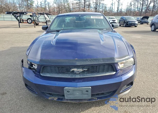 1ZVBP8AM6C5274814: 94469835