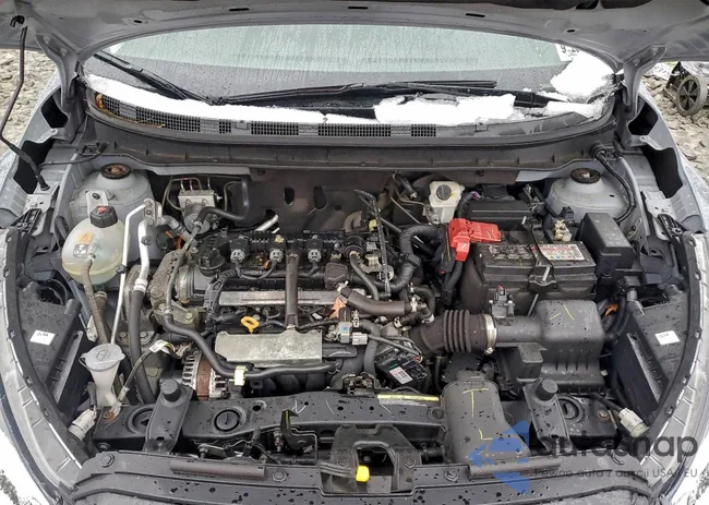 3N1CP5CVXPL546768: 98184485