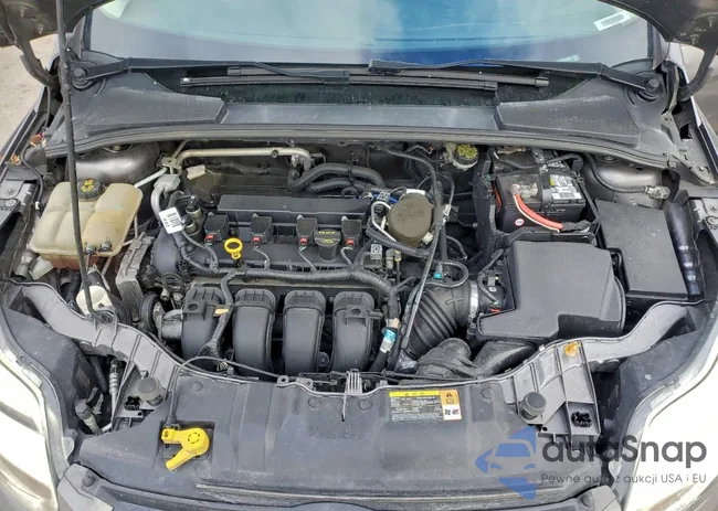 1FADP3F24EL157890: 98110355