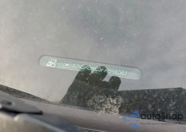 1GNSKBKC3FR598361: 96118805