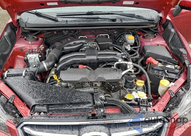 JF1GPAP61GH306295: 95177855