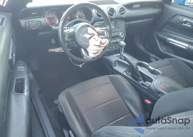 1FA6P8AM2H5289201: 97229545