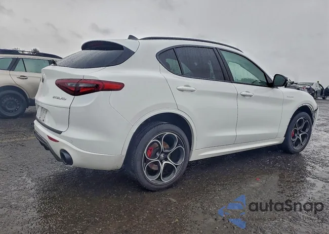 ZASPAKBN0P7D52875: 97582545