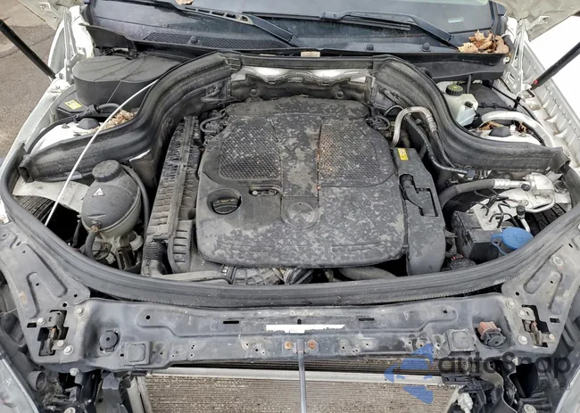 WDCGG8JB4EG303980: 96999905