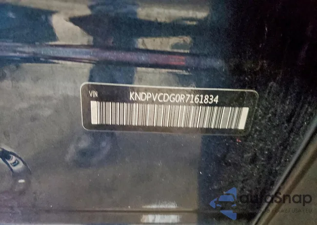 KNDPVCDG0R7161834: 98506045