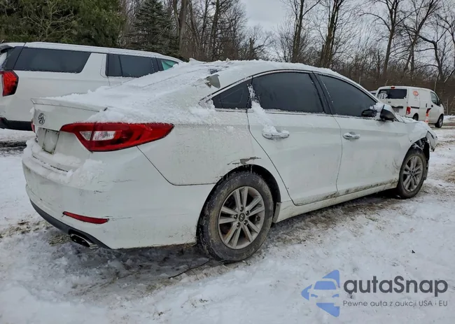 5NPE24AF7GH395298: 96989825