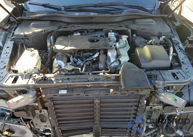 JM3KKCHD9R1127355: 94687665