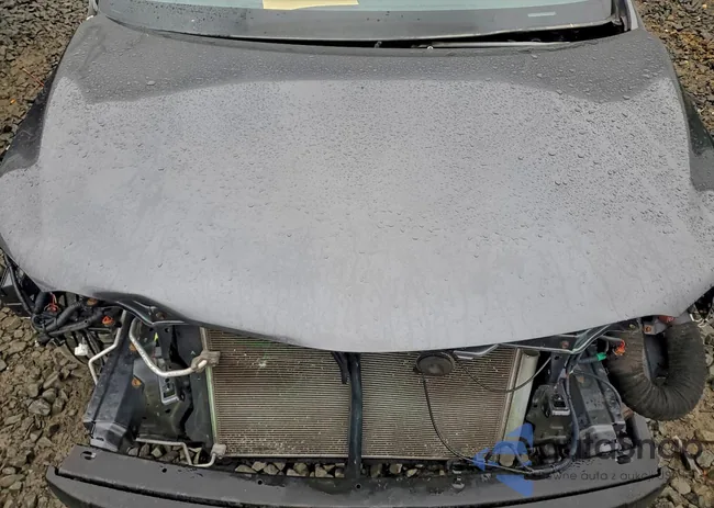 2T1BU4EE3CC889234: 97634475