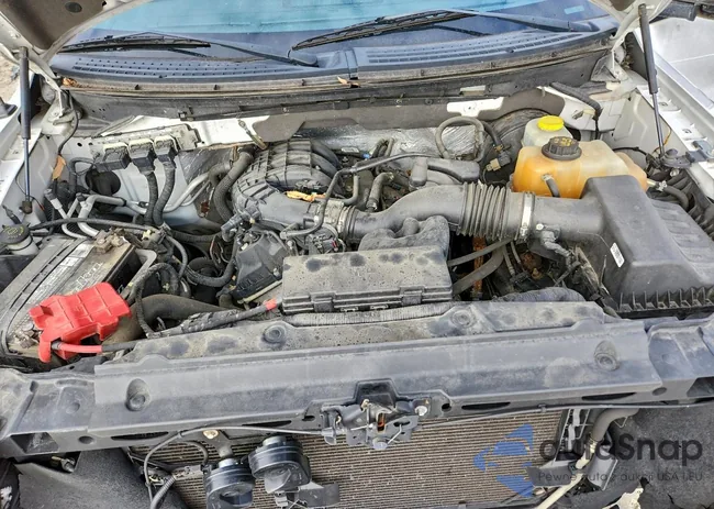 1FTEX1CM3EFC96786: 94706755