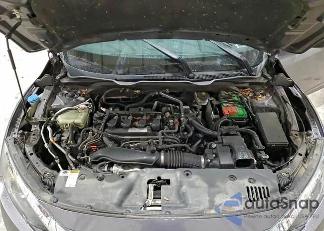 19XFC1F36HE209156: 98126895