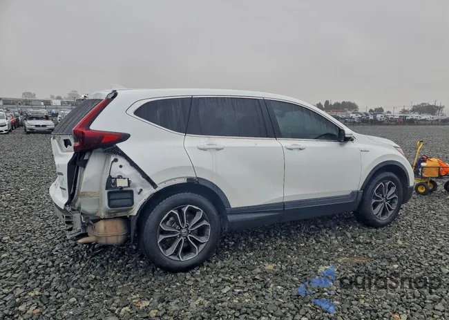 7FART6H83ME012604: 97220405