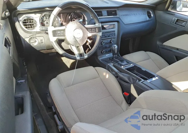 1ZVBP8AMXE5319143: 96680955