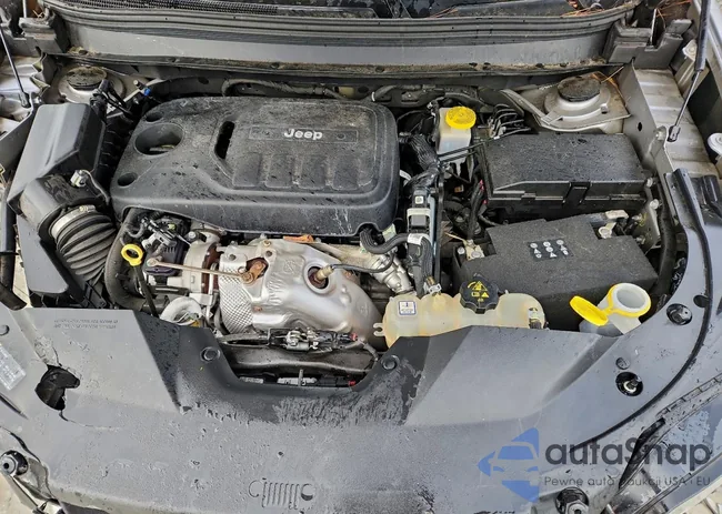 1C4PJLDN6KD152007: 96119245