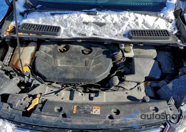 1FMCU9J9XEUE38197: 95036965