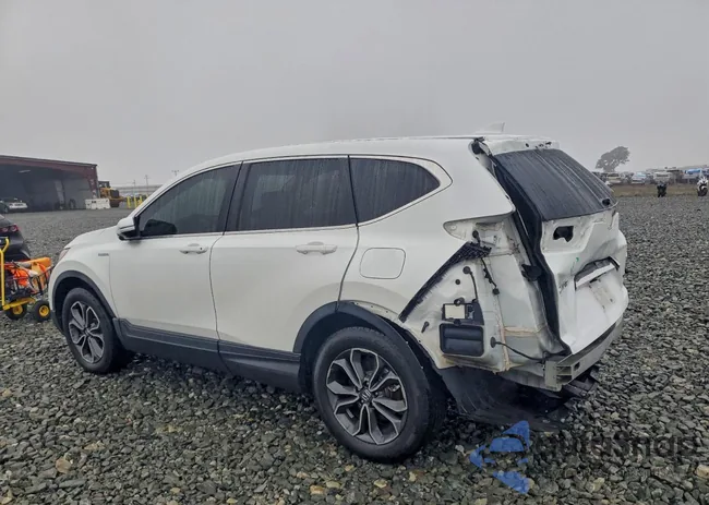 7FART6H83ME012604: 97220405