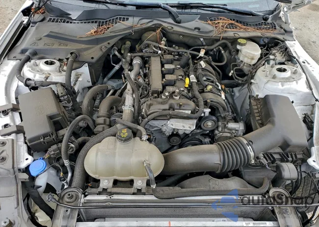 1FA6P8TH9N5139372: 94326985