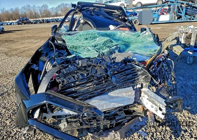 2T3P1RFV7SC556647: 98313415