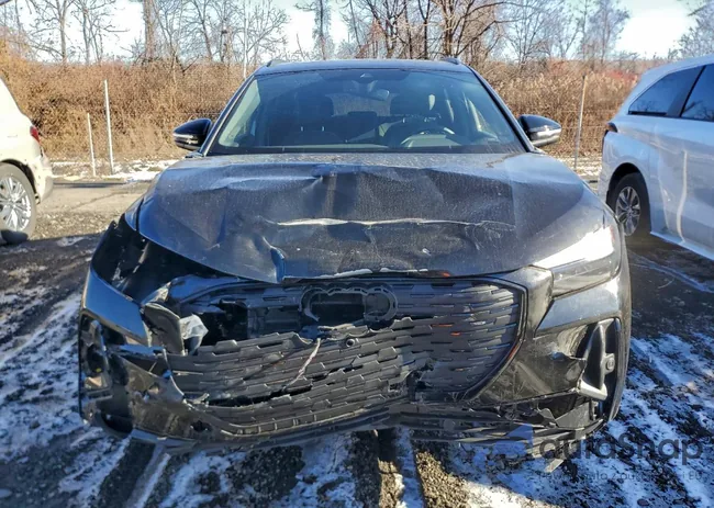 WA1L2BFZ2RP016501: 96999685