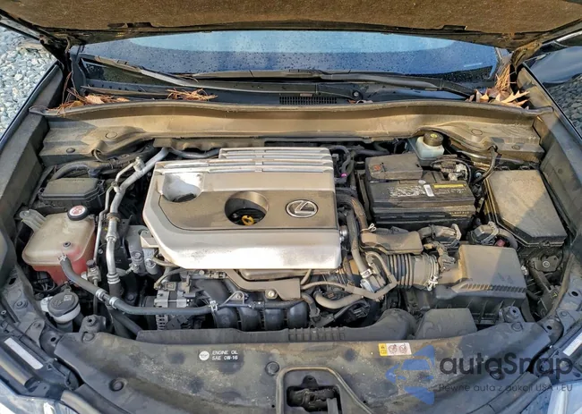 JTHY3JBHXK2000547: 97195225