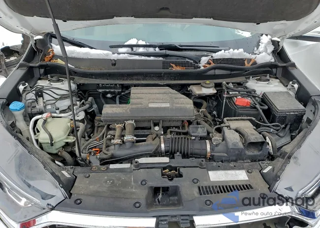 5J6RW2H81KL012553: 96817245