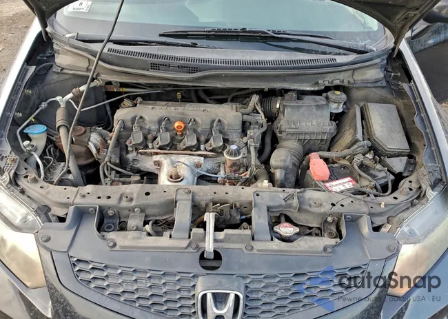 2HGFG3B8XDH524916: 97596355