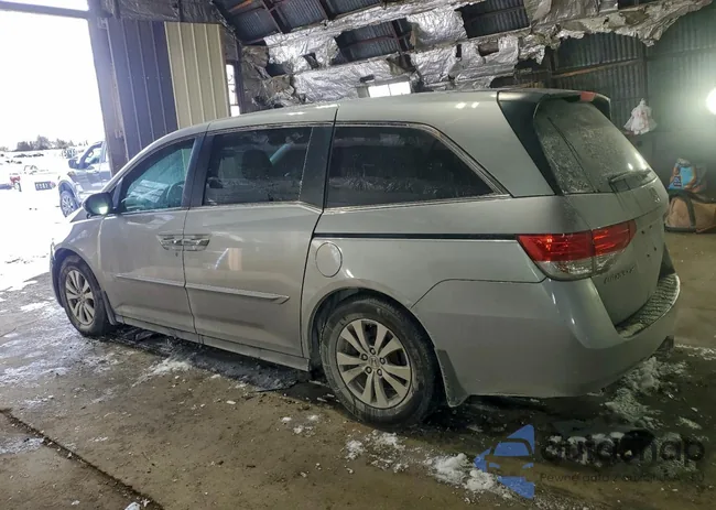 5FNRL5H41HB001965: 95020665