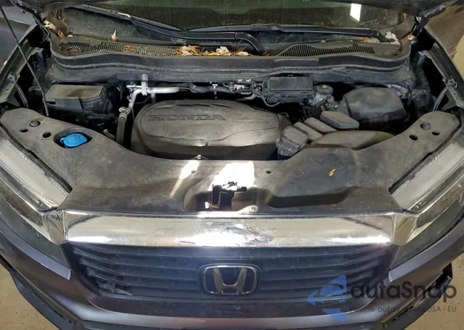 5FPYK3F50PB008040: 97738795