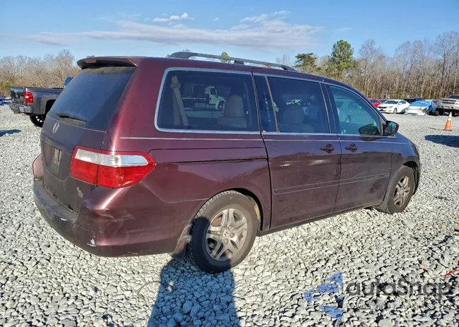 5FNRL38777B434963: 96681855