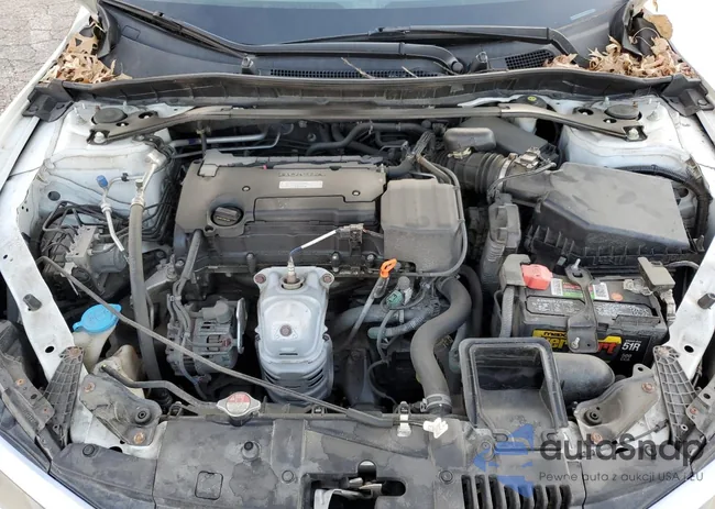 1HGCR2F82GA055731: 70950734