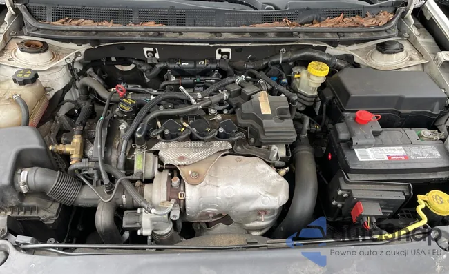 1C3CDFBH2DD154719: 40015544