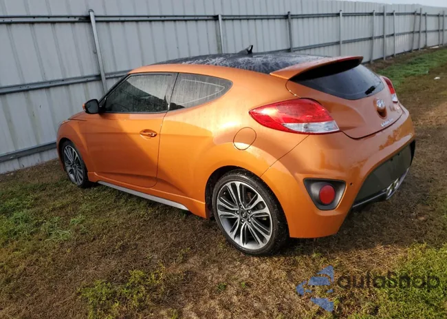 KMHTC6AE6GU301209: 39492104