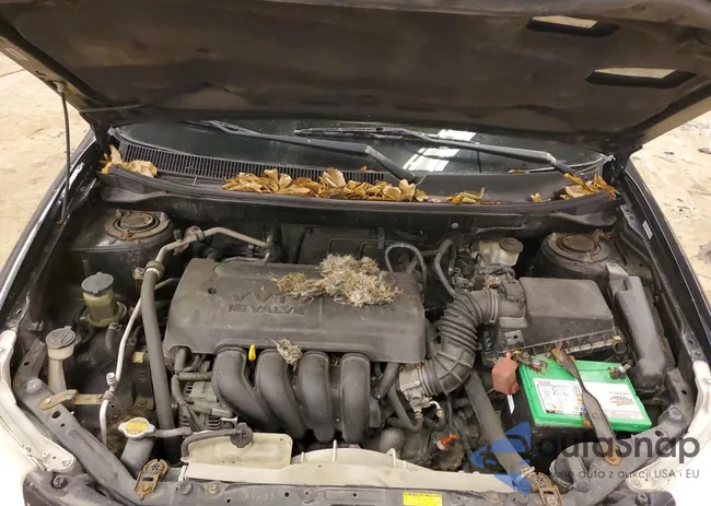 5Y2SL65856Z425445: 37030794