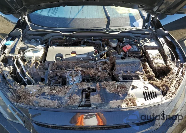 19XFC2F88LE214207: 40296744