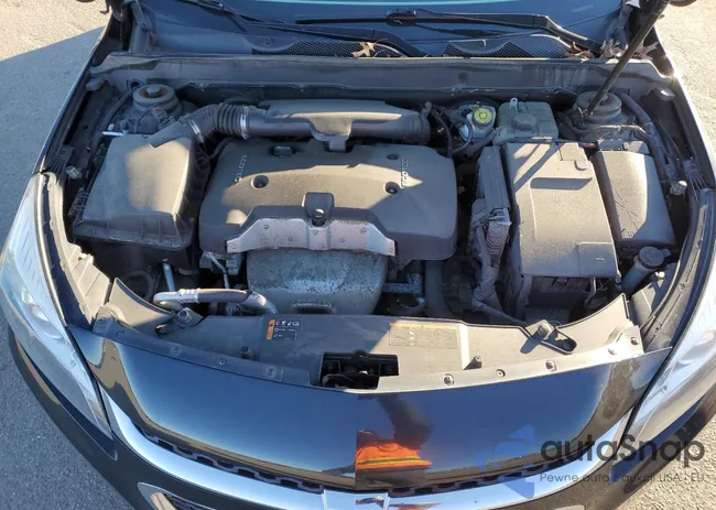 1G11C5SL8FF336624: 41740404