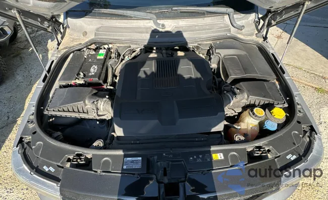 SALSF2D42CA754041: 43302344