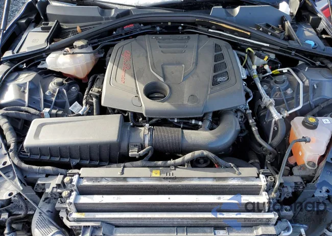 ZARFAMAN9K7598825: 42260554